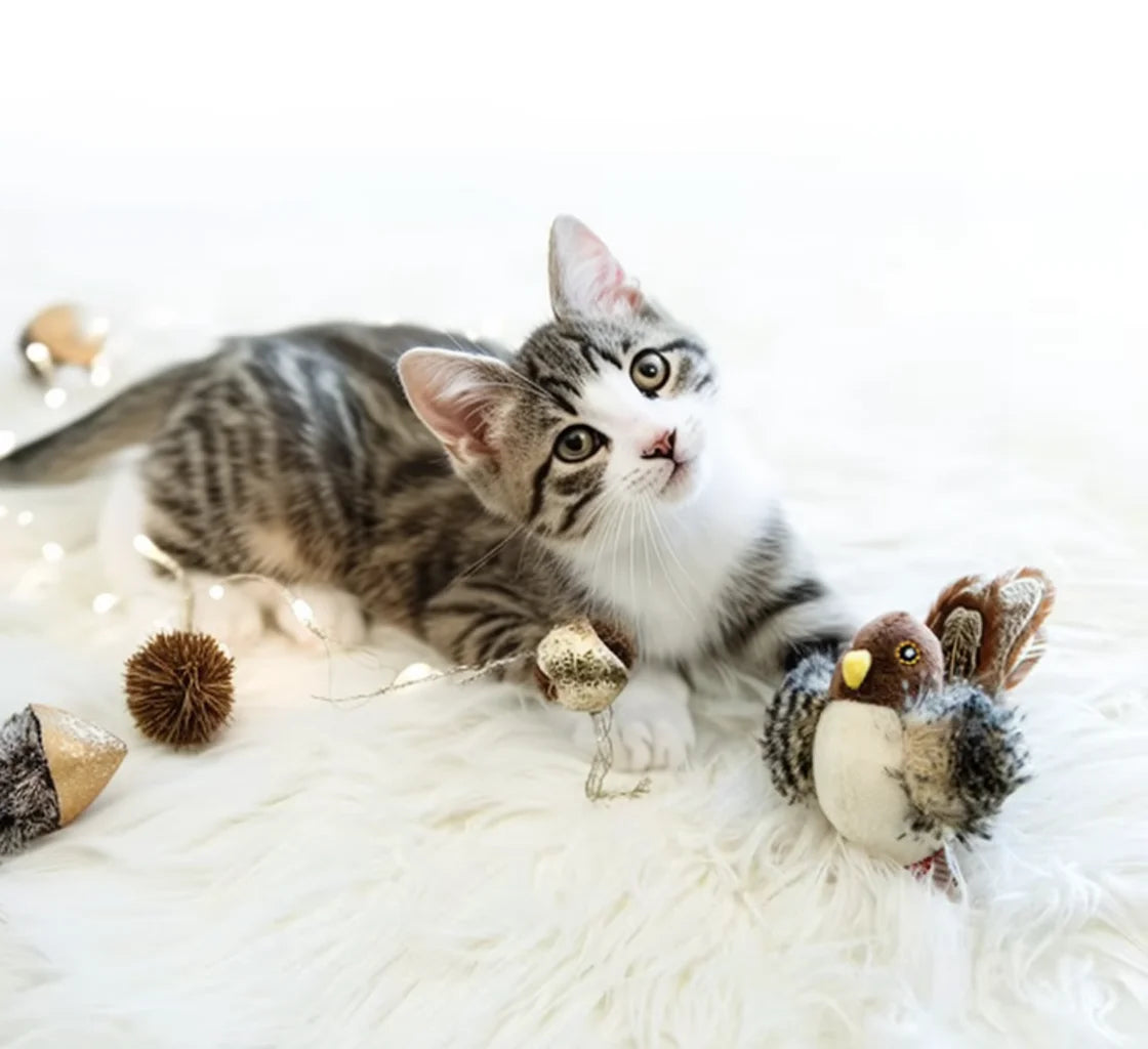 Interactive Chirping Bird Cat Toy